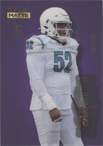 2022 Wild Card MATTE CJ Brewer #MB-17