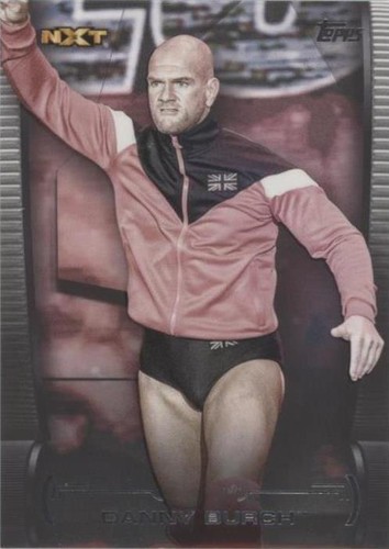 2021 Topps WWE Undisputed - Danny Burch #52
