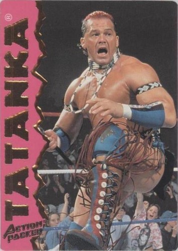 1995 Action Packed WWF - Tatanka #15