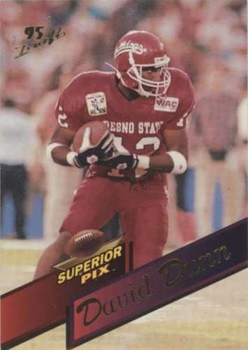 1995 Superior Pix David Dunn #55