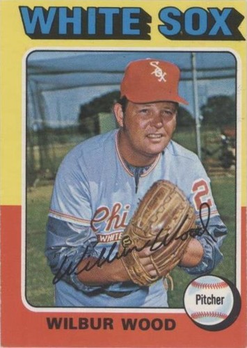 1975 O-Pee-Chee - Wilbur Wood #110