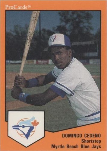 1989 ProCards Minor League Team Sets - Domingo Cedeno #1456