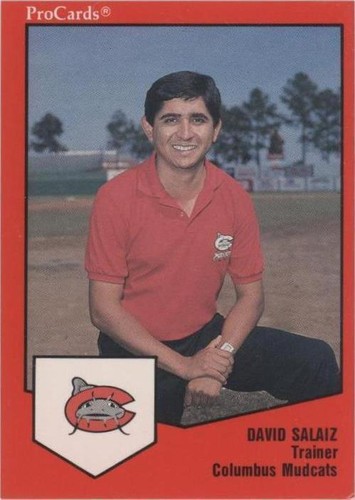 1989 ProCards Minor League Team Sets - David Salaiz #138