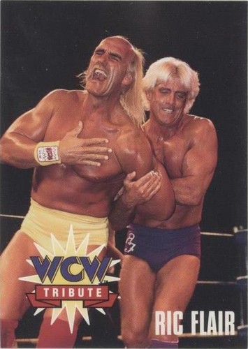 1995 CARDZ WCW Main Event - Hulk Hogan Ric Flair #77