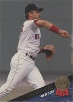1993 Leaf - Mike Greenwell #197