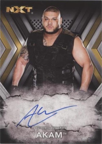 2017 Topps WWE NXT - Akam #RA-AK
