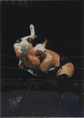 2000 Comic Images WWF No Mercy - Rikishi #40