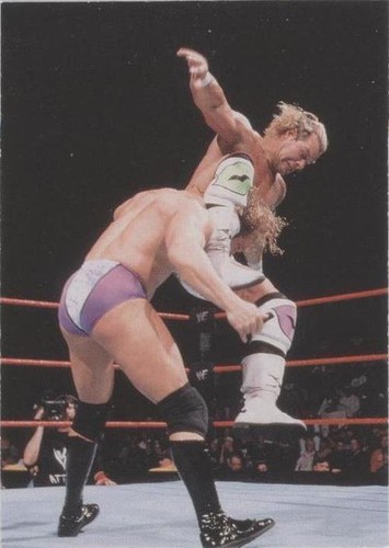 1999 Comic Images WWF SmackDown! - Billy Gunn #10