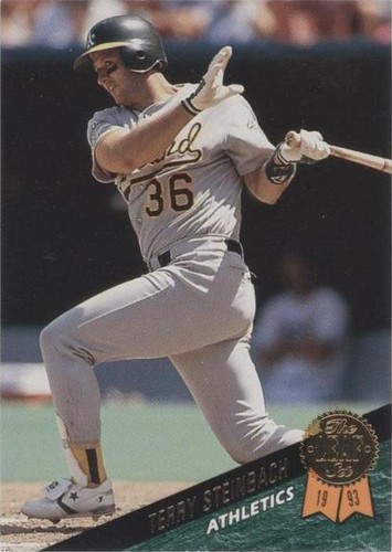 1993 Leaf - Terry Steinbach #7