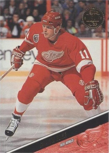 1993-94 Leaf - Shawn Burr #296