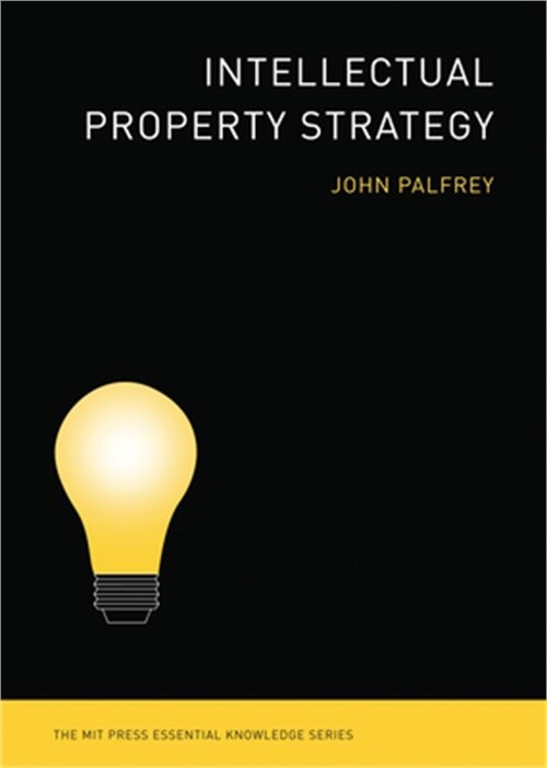Intellectual Property Strategy (Paperback or Softback)