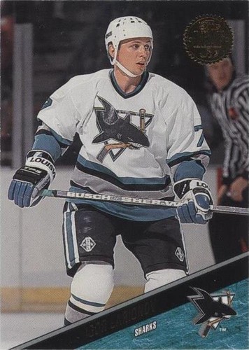 1993-94 Leaf - Igor Larionov #391