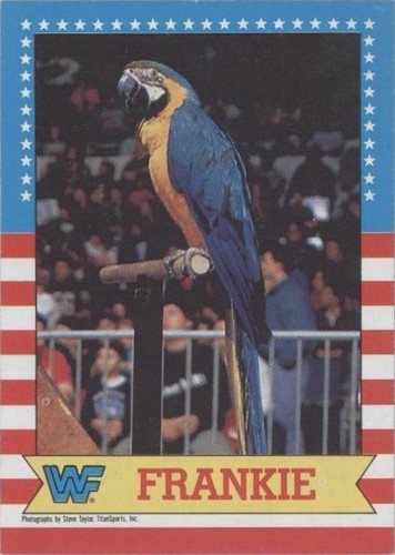 1987 Topps WWF - Frankie #4