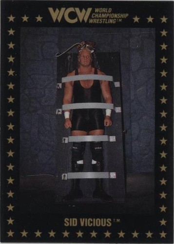1991 Championship Marketing WCW - Sid Vicious #10