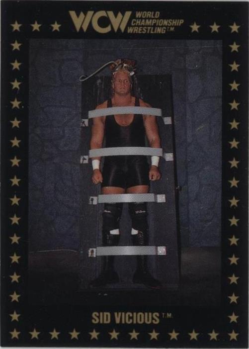 1991 Championship Marketing WCW - Sid Vicious #10