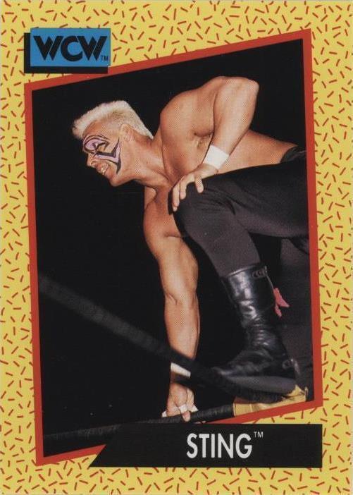 1991 Impel WCW - Sting #13