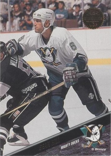 1993-94 Leaf - Sean Hill #353
