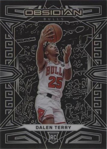 2022-23 Panini Obsidian - Dalen Terry #163