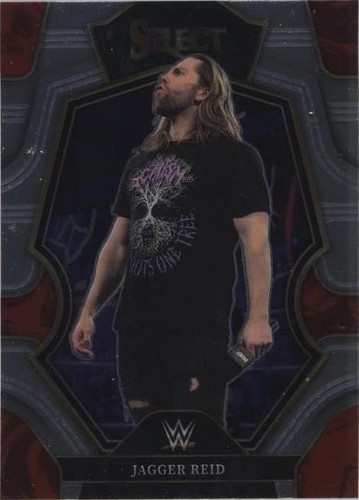2023 Panini Select WWE - Jagger Reid #184