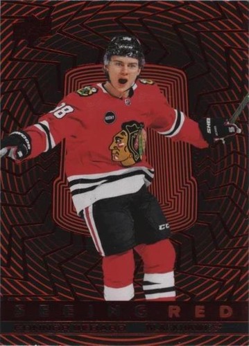 2023-24 Upper Deck Extended Series - Connor Bedard #SR-45