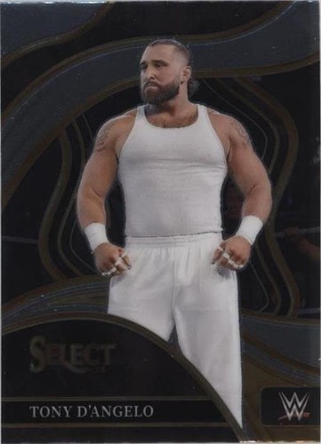 2024 Panini Select WWE - Tony D'Angelo #293
