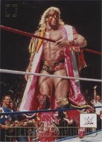 2024 Panini Photogenic WWE - Ultimate Warrior #121