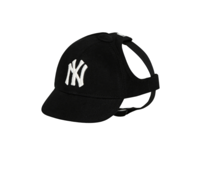 New york hotsell yankees pet
