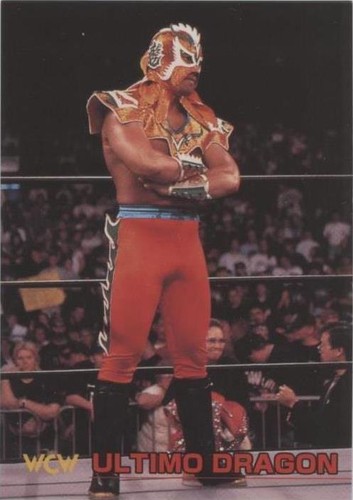 101 Big Van Vader 1998 NJPW New Japan pro-Wrestling Card | eBay
