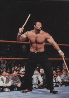 1999 Comic Images WWF SmackDown! - Steve Blackman #37