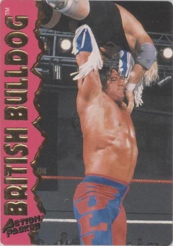 1995 Action Packed WWF Undertaker #2 PSA 4 WWE | eBay