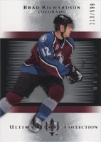 2005-06 Ultimate Collection - Brad Richardson #152