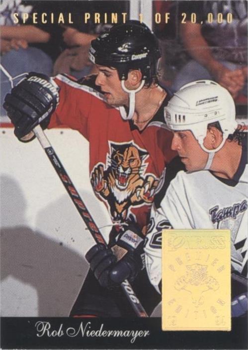 Donruss 1993-94 - Rob Niedermayer #I