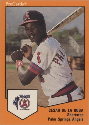 1989 ProCards Minor League Team Sets - Cesar Delarosa #475