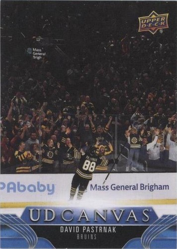 2023-24 Upper Deck Extended Series - David Pastrnak #C354