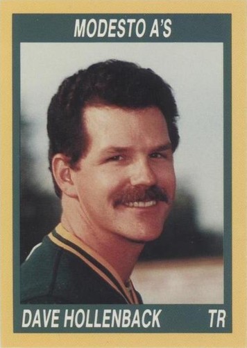 1990 Cal League California League - David Hollenback #173