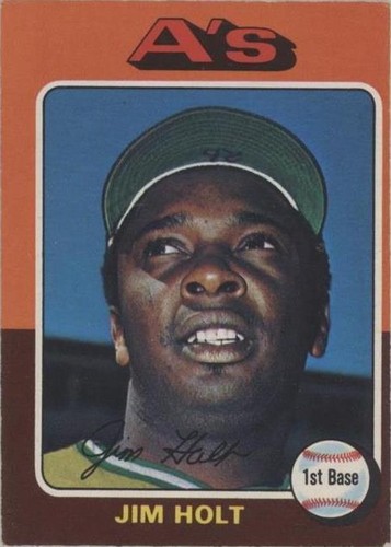 1975 O-Pee-Chee - Jim Holt #607