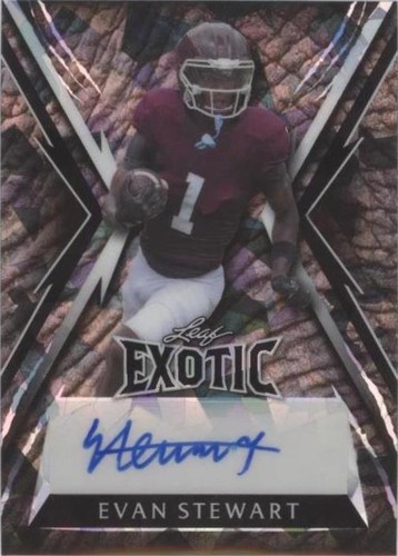 2023 Leaf Exotic Evan Stewart #BA-ES1