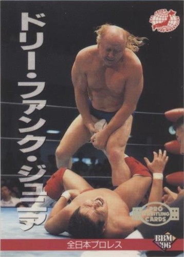 全日本プロレス∕ミニカード∕No.7∕ドリー・ファンクJr∕昭和レトロ∕希少 All Japan Pro Wrestling Mini Card No 7 Dolly Funk Jr Showa