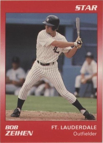1989 Star Minor League - Bob Zeihen #81