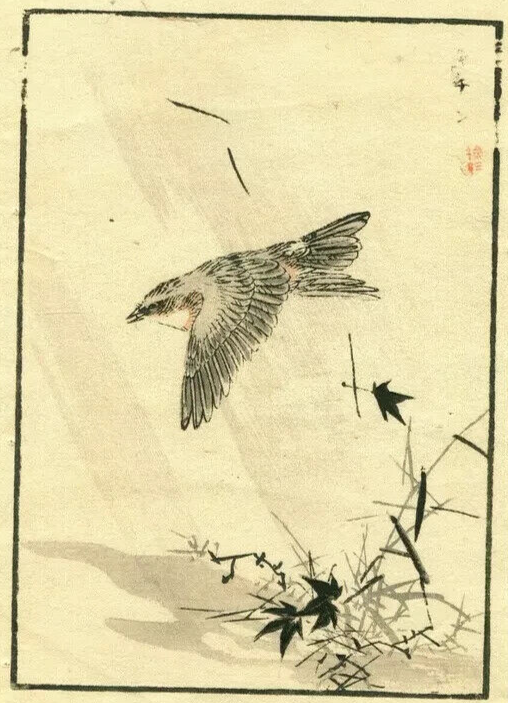 Antique Japanese WoodPrint Original Flowers, Bird c 1890 Ukiyo-e Asian Art Print