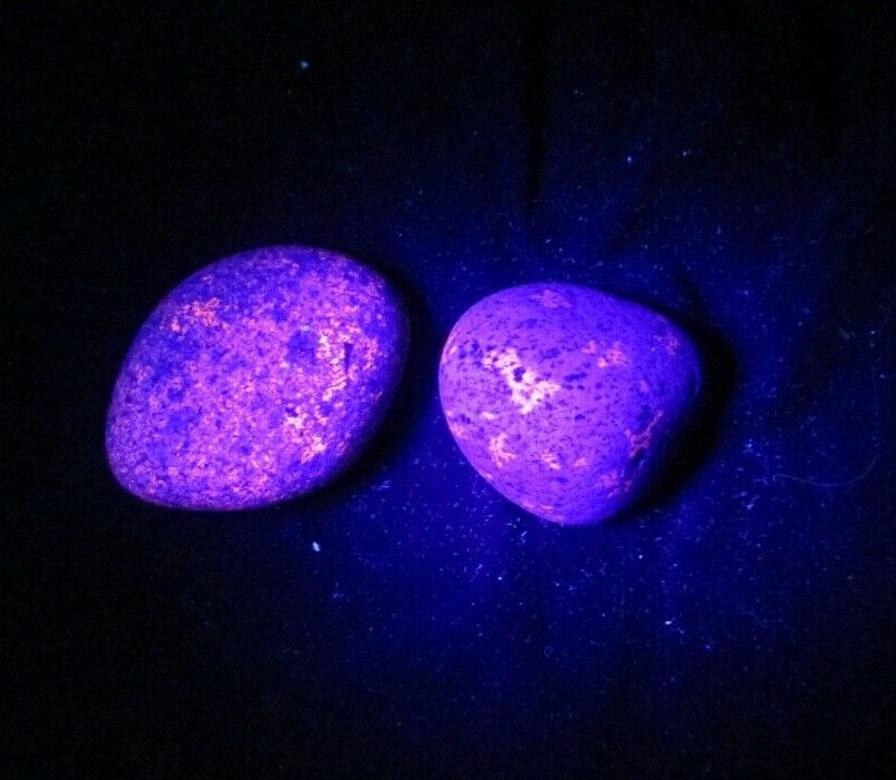 2 Yooperlite Lake Superior Rocks Stones  14.6 ounces Glows under UV light (46 )