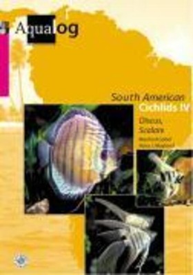 Manfred Göbel (u. a.) | Southamerican Cichlids 4 | Buch | Deutsch (2000)