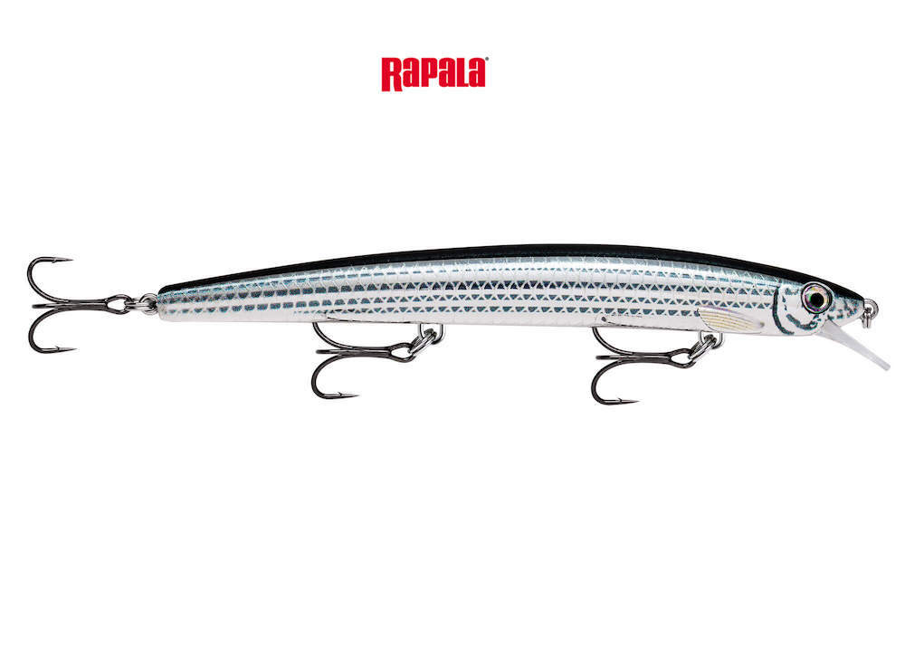 RAPALA MAX RAP MXR 13 COL. MUL LIVE MULLET ARTIFICIALE SPINNING  SPIGOLA 13 CM