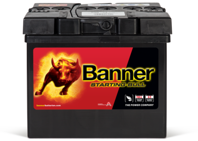 Starterbatterie 30Ah Banner Starting Bull 53034 12V 300A Motorrad Rasentraktor