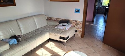 Foto dell'oggetto di un acquirente verificato