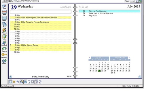 Individual Software Anytime Organizer Deluxe 15 PC Or Windows Tablet