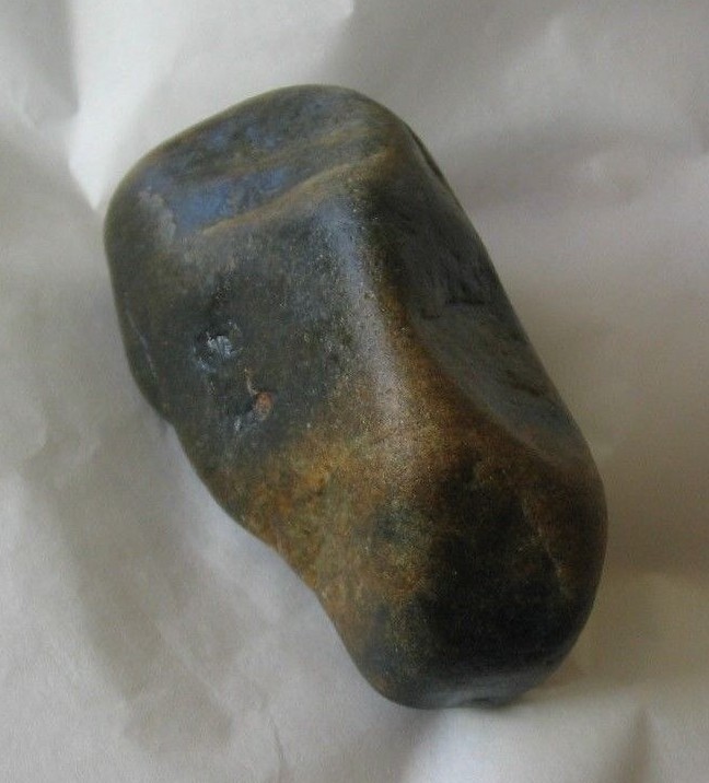 Prehistoric Bear carving with multiple images found in Colorado