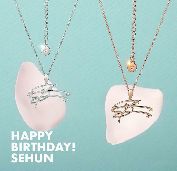 EXO - SMTOWN SUM センイル BIRTHDAY カード ★EXO ディオ EXO - SMTOWN SUM センイル BIRTHDAY カード ☆EXO ディオ EXO