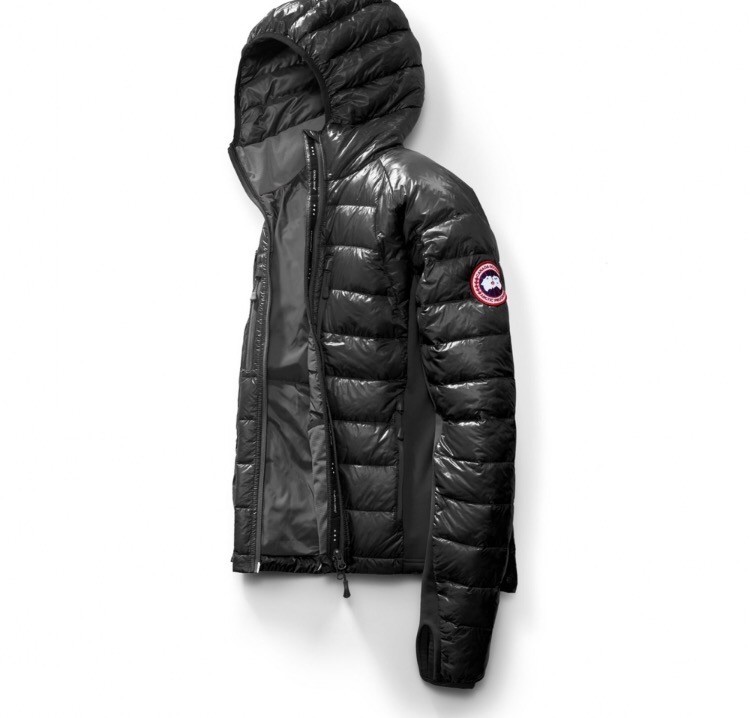 canada goose gumtree manchester canada goose gumtree manchester