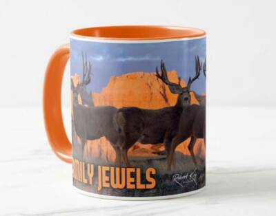 Family Jewels Mule Deer Mug, Trophy Bucks, World Record - FREE SHIPPING